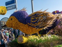 250412-Bloemencorso-BO-OO-179