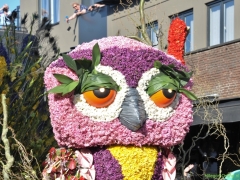 250412-Bloemencorso-BO-OO-182