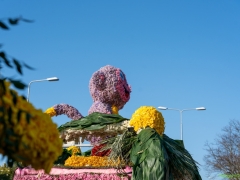 250412-Bloemencorso-BO-OO-186