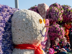 250412-Bloemencorso-BO-OO-190