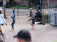 DSC_1.2