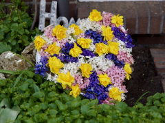 fullsizeoutput_2081c