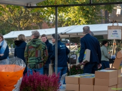 IKpictures-Bollenmarkt005
