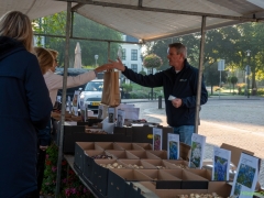 IKpictures-Bollenmarkt010
