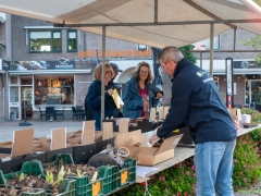 IKpictures-Bollenmarkt011