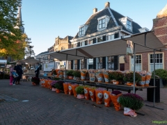 IKpictures-Bollenmarkt017