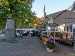 IKpictures-Bollenmarkt018