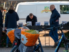 IKpictures-Bollenmarkt019