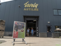 250809-Bollenstreek-in-bedrijf-Hillegom-143