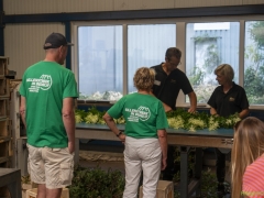 250809-Bollenstreek-in-bedrijf-Hillegom-145