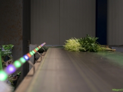 250809-Bollenstreek-in-bedrijf-Hillegom-146