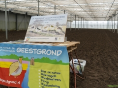 250809-Bollenstreek-in-bedrijf-Hillegom-148