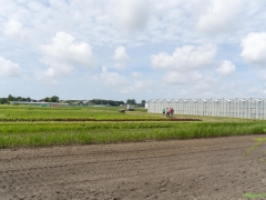 250809-Bollenstreek-in-bedrijf-Hillegom-153