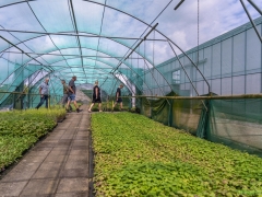 250809-Bollenstreek-in-bedrijf-Hillegom-154