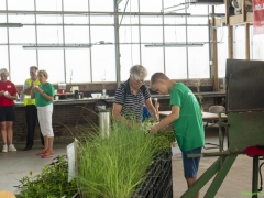 250809-Bollenstreek-in-bedrijf-Hillegom-156