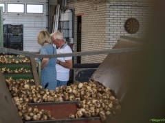 250809-Bollenstreek-in-bedrijf-Hillegom-159
