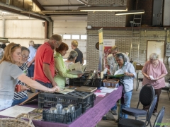 250809-Bollenstreek-in-bedrijf-Hillegom-160