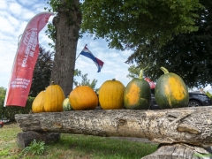 250809-Bollenstreek-in-bedrijf-Hillegom-164
