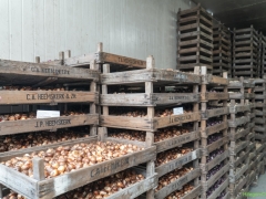 250809-Bollenstreek-in-bedrijf-Hillegom-168