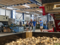 250809-Bollenstreek-in-bedrijf-Hillegom-176