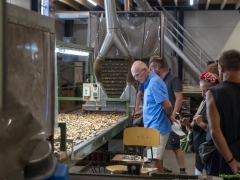 250809-Bollenstreek-in-bedrijf-Hillegom-177