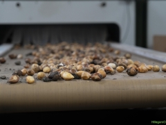 250809-Bollenstreek-in-bedrijf-Hillegom-178