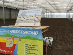 250809-Bollenstreek-in-bedrijf-Hillegom-148