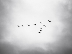 201017-Duin-bronst-118