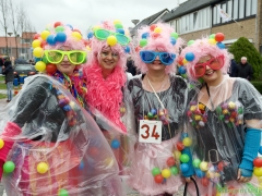 190303 - Carnavalsoptocht De Zilk 126