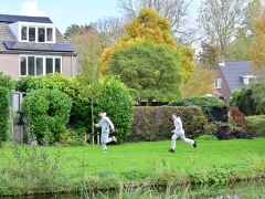 DSC_0753
