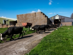 DSC00710