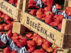 ik_03487-Bewerkt-