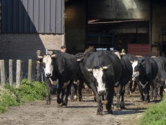 ik_03539-Bewerkt-