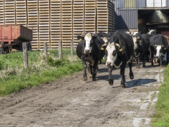 ik_03545-Bewerkt-