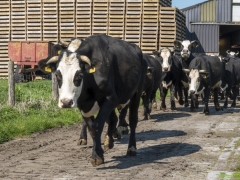 ik_03547-Bewerkt-