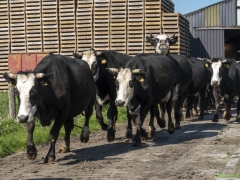 ik_03549-Bewerkt-