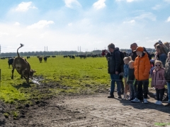 ik_03618-Bewerkt-