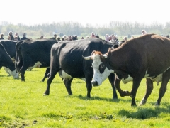 ik_03676-Bewerkt-