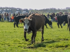 ik_03693-Bewerkt-