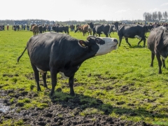 ik_03720-Bewerkt-