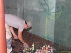 graffiti-3