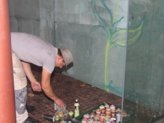 graffiti-3