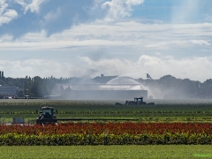 250928-Bollenbedrijf-in-brand103