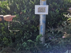 WhatsApp-Image-2025-09-14-at-16.46.04-1