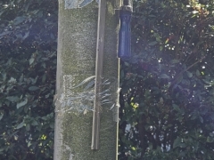 WhatsApp-Image-2025-09-14-at-16.46.04-4