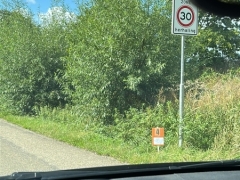 WhatsApp-Image-2025-09-14-at-16.46.05