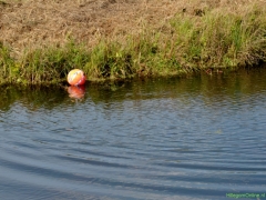 ALW_0556