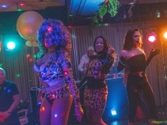 DSC03381