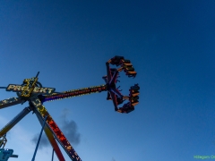 DSC03553