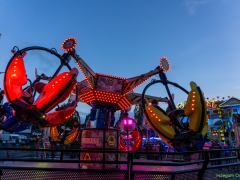 DSC03557